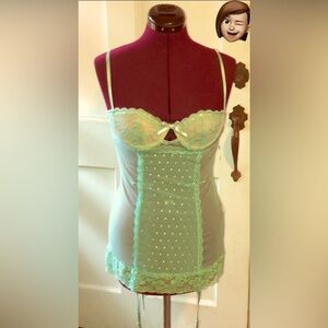 Teal sexy lace lingerie with hosiery clips